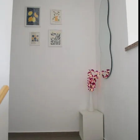 Villa House Mara Kovacic